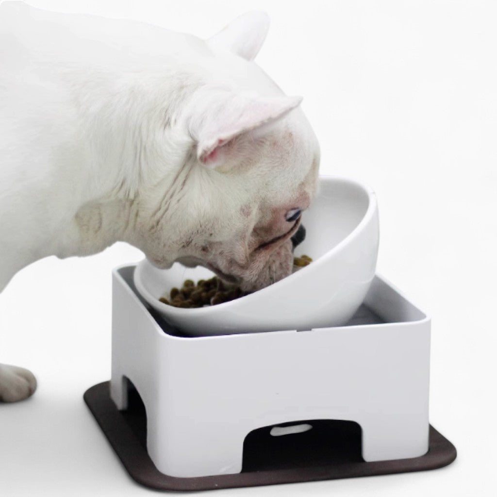 French Bulldog Ceramics Bowl For Frenchies (ws41) Essential Dog Supply