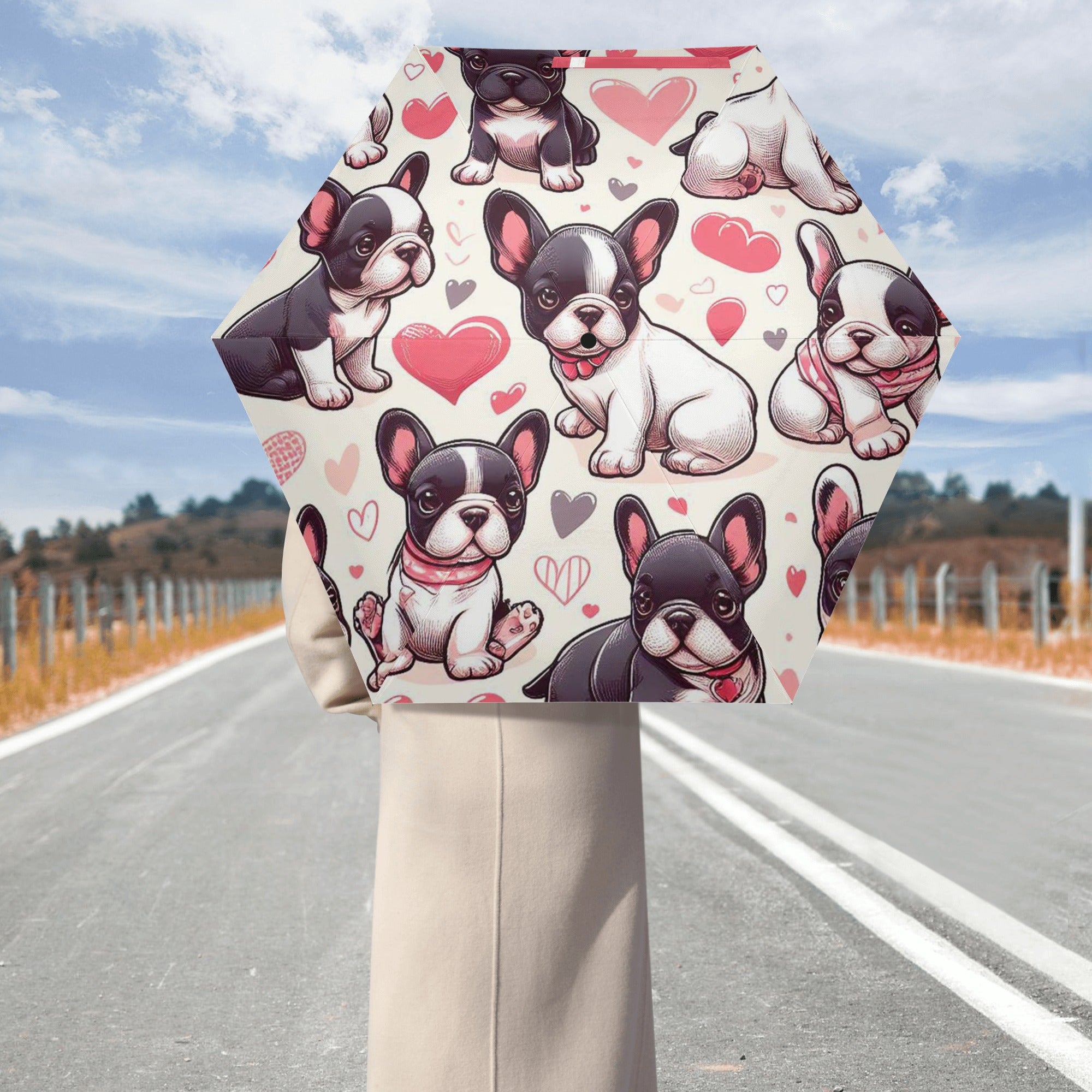 Premium Street-Ready Everyday Leo - Umbrella for Daily Life Comfortable