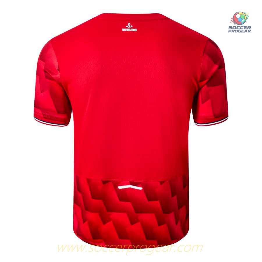 LOSC Home Soccer Jersey Set Kids Edition Soccer Football Shirt 2025-2026 Season