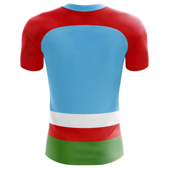 Professional 2025-2026 Sakha Republic Home Concept Football Shirt