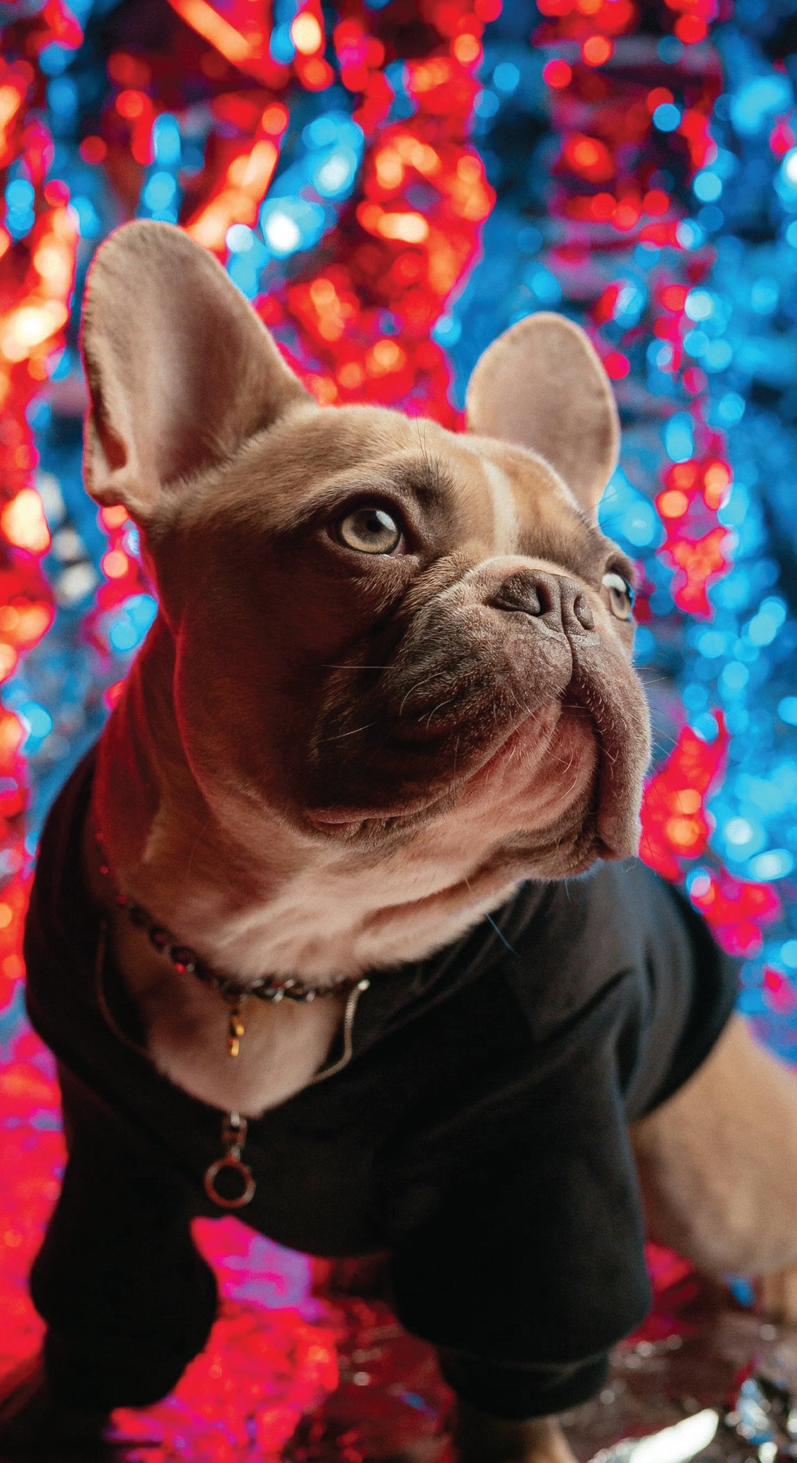 Comfortable Dean - Personalized Dual-layer Phone Case for Casual Outings