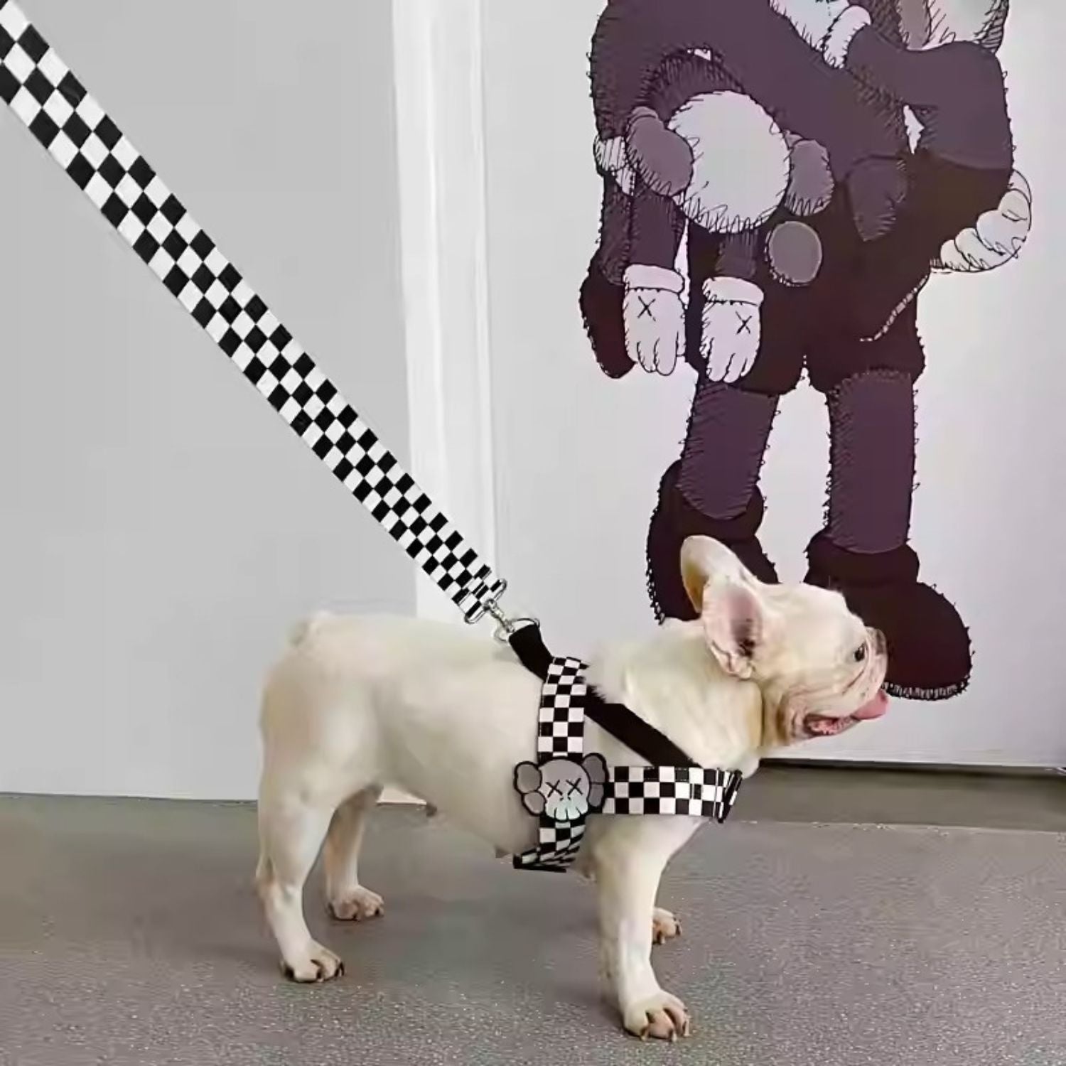 Fit Frenchie Harness With Secure Buckles Pet Gear | Vet-recommended