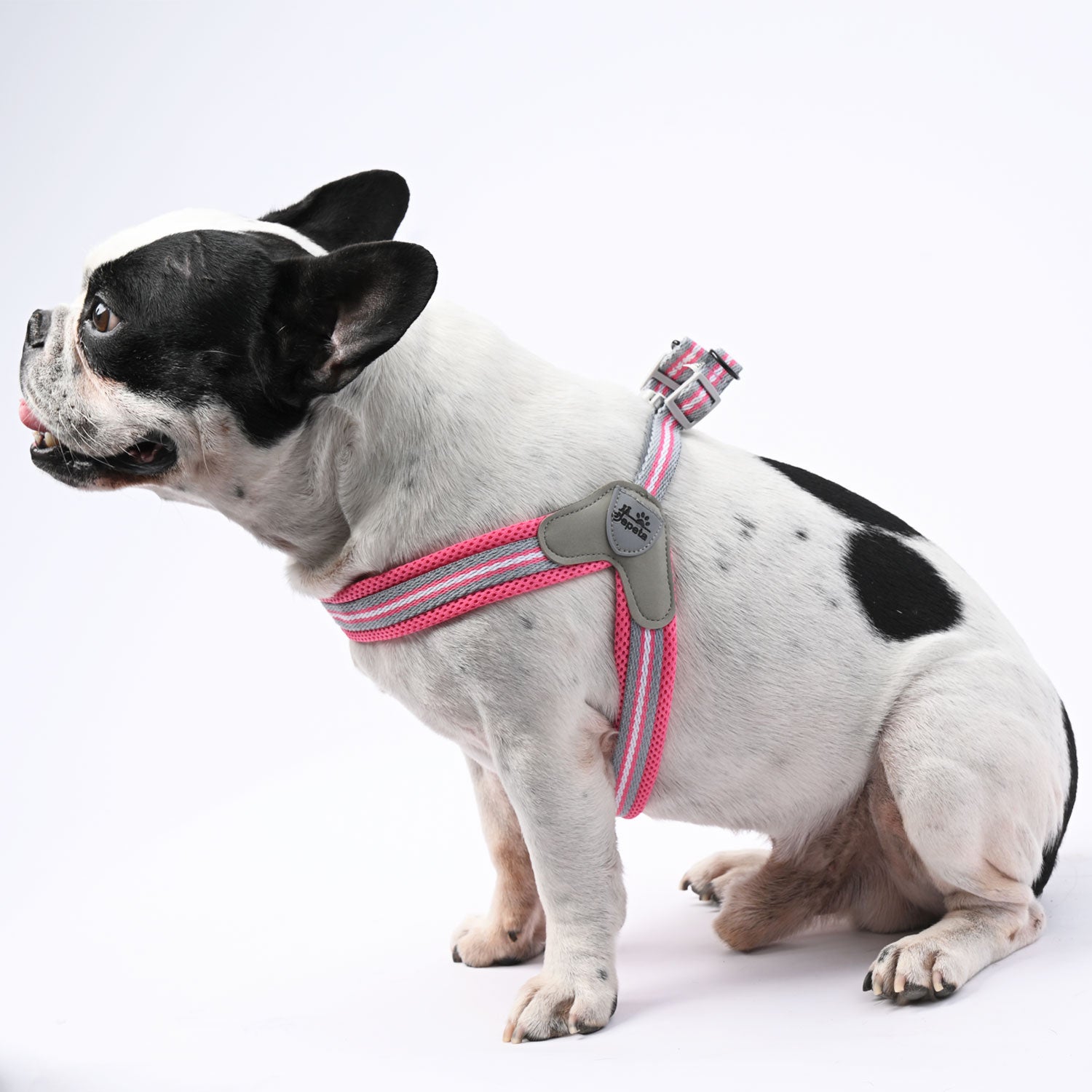 French Bulldog Leashlock No Pull Frenchie Harness With Leash Practical Dog Gear