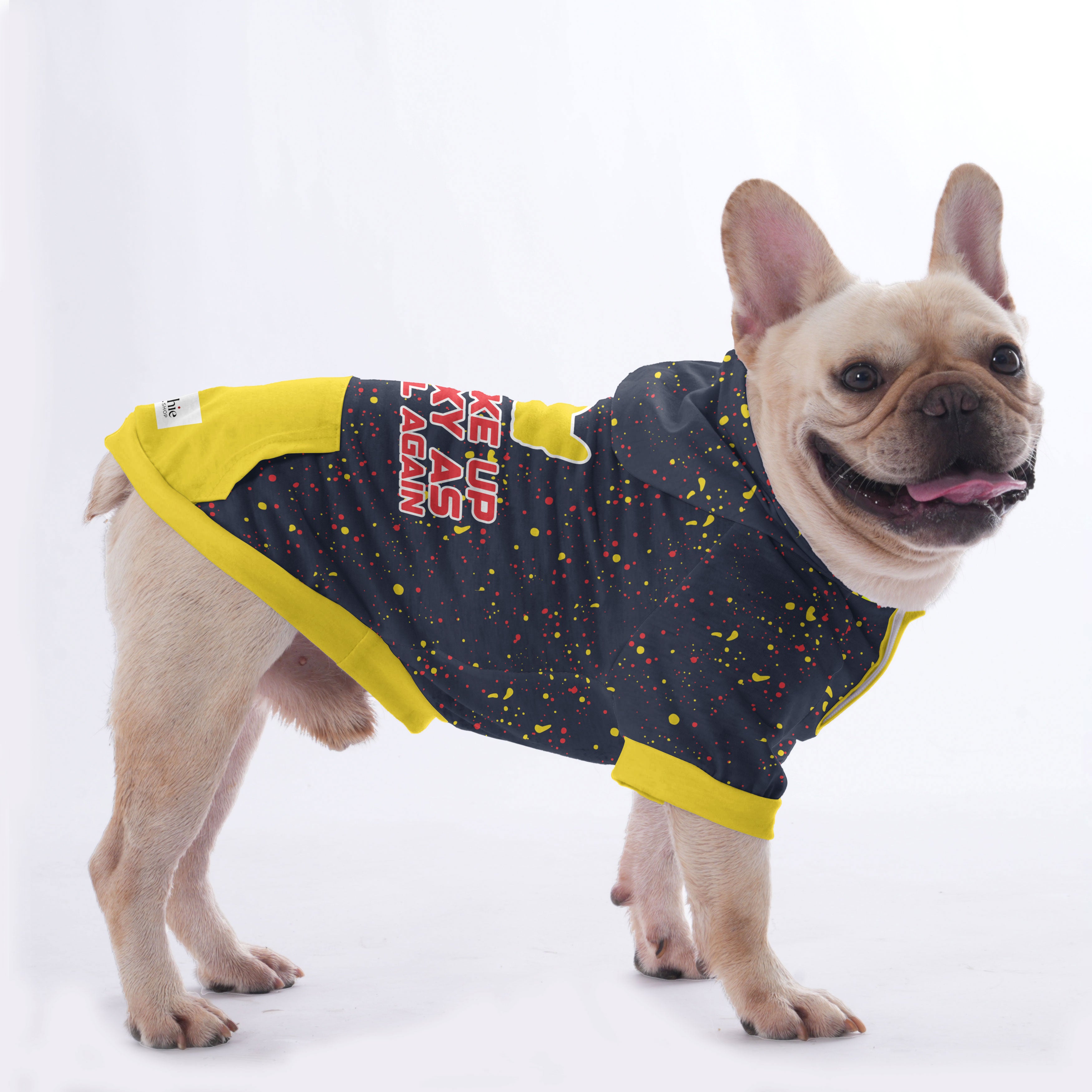 Woke up Sexy as Hell Again - Hoodies for French Bulldog | Frenchie Shop Original