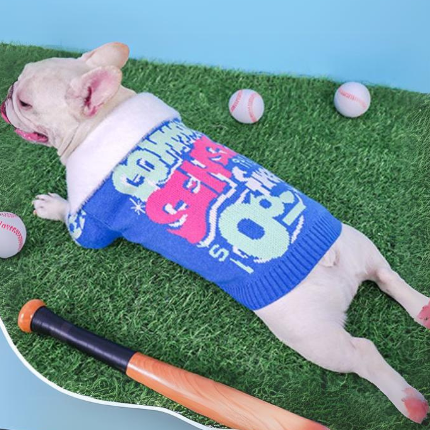 Stylish French Bulldog Sporty Winter Sweater for French Bulldog Lovers