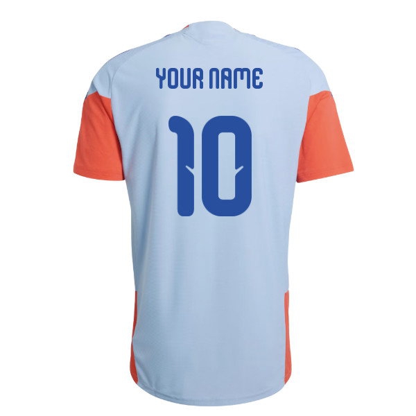 [DDJ] 2026-2027 Japan WC26 Pro Training Shirt (Ash Blue) (Your Name)