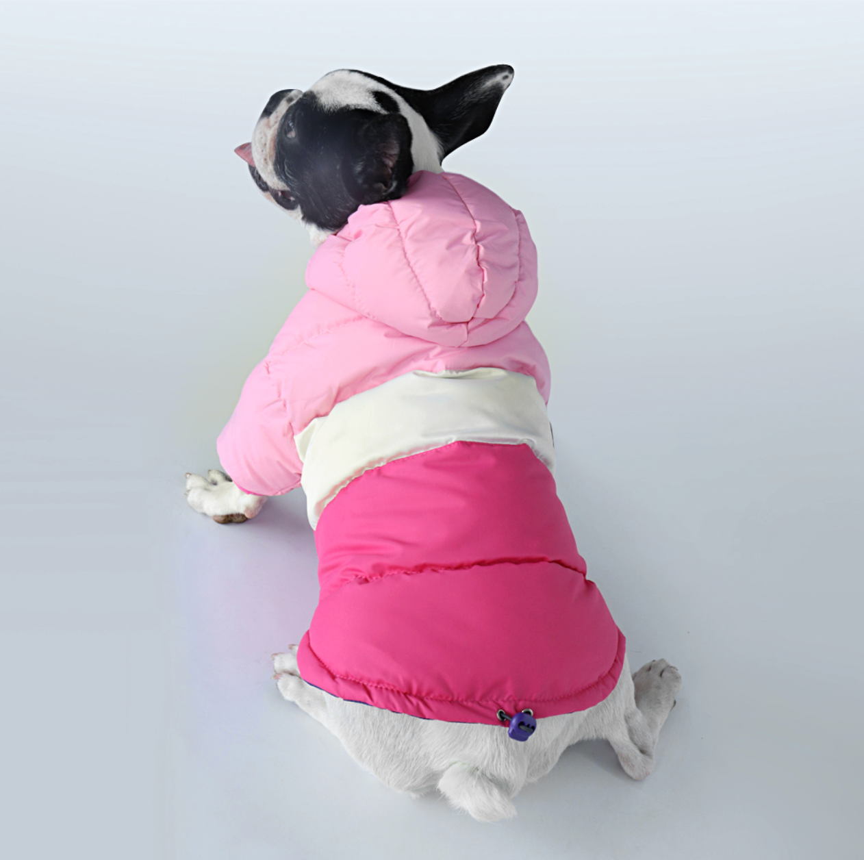 French Bulldog Winter Coat Waterproof Coat For French Bulldog (cs032) Warm Dog Outfit