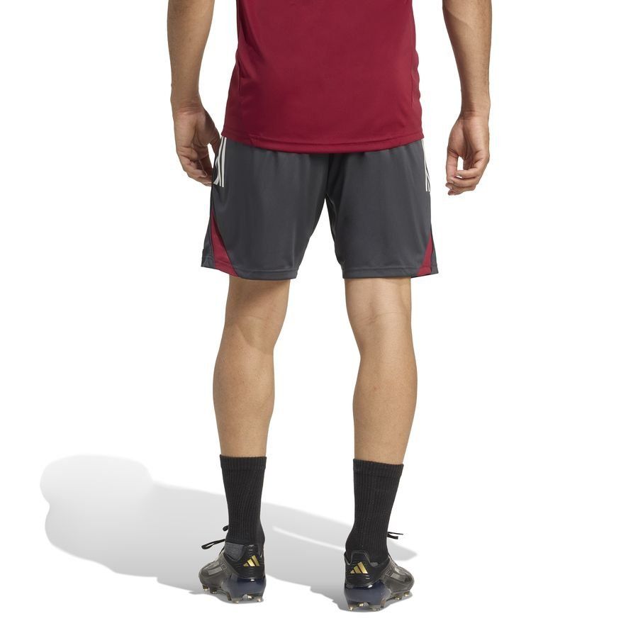 Arsenal Training Shorts Tiro 25 Eu Dark Grey/collegiate Burgundy
