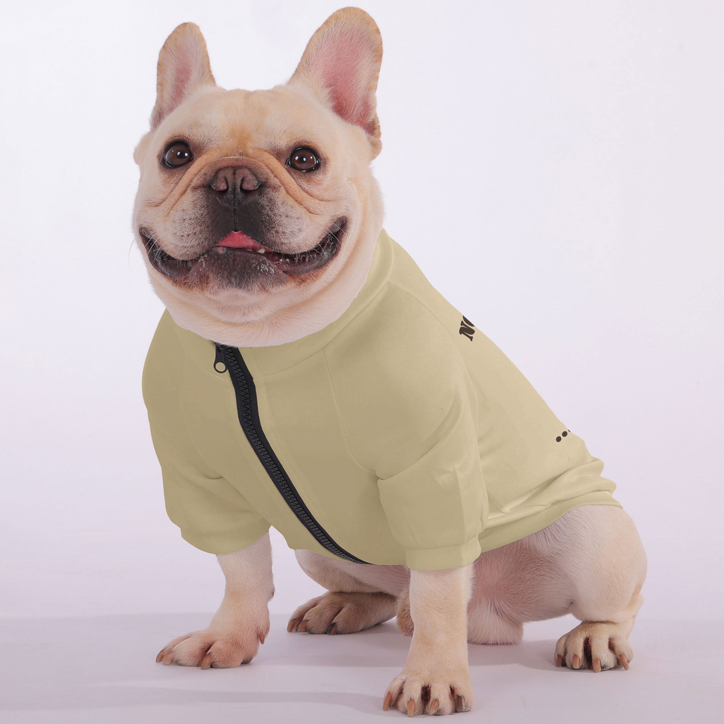 Not Judging You… Okay, I Am - Snuggly Zip-Up Sweatshirt for French Bulldogs