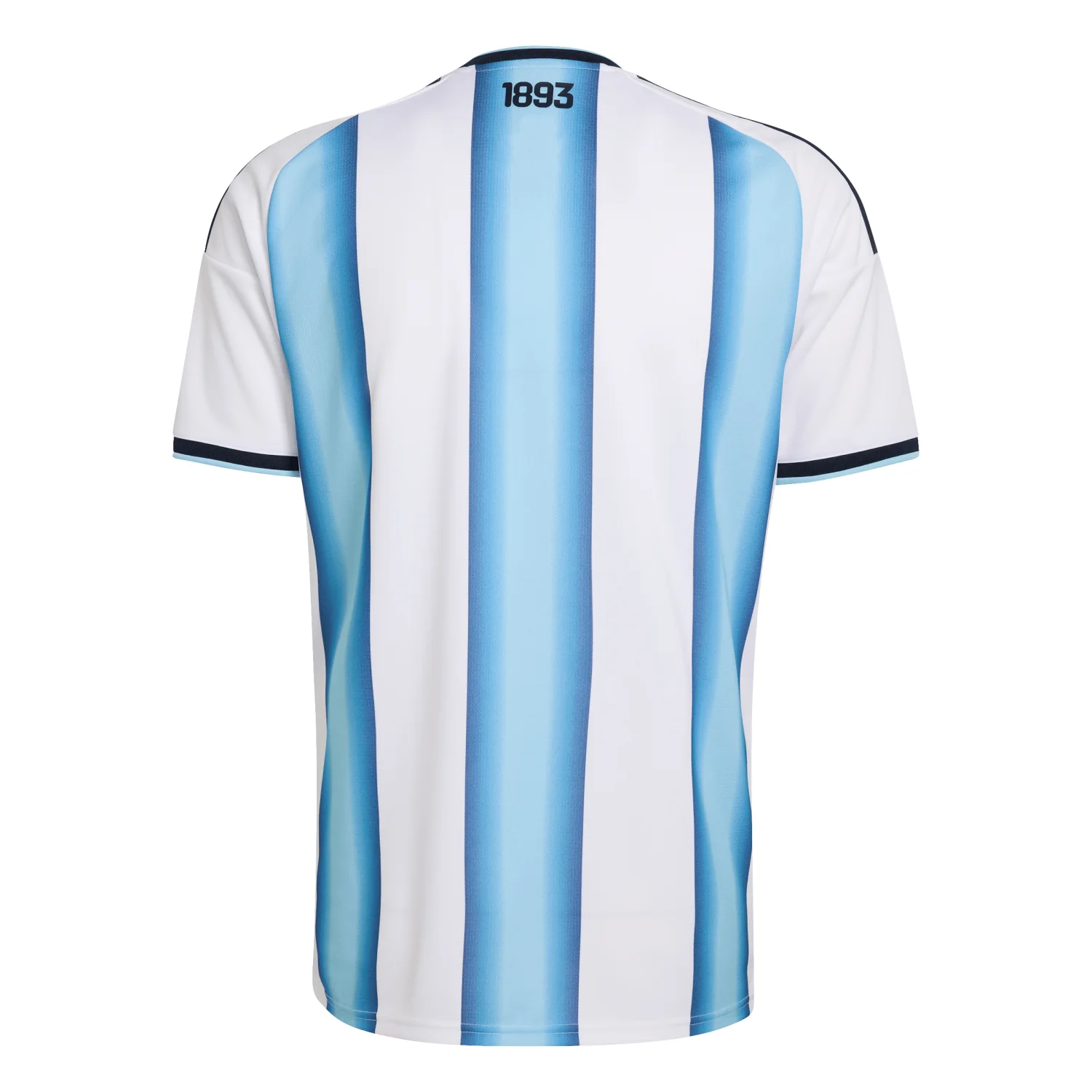 2026 Argentina Men World Cup jersey [JEP]