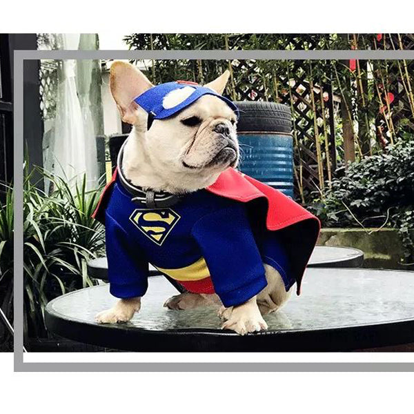 Cozy Stylish French Bulldog Superfrenchie Cosplay Clothes for Daily Life