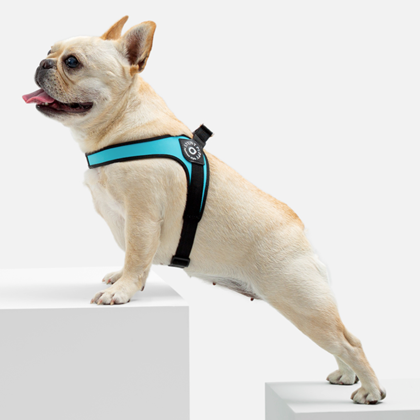 Easy-Walk™ - No Pull French Bulldog Harness (WS601)