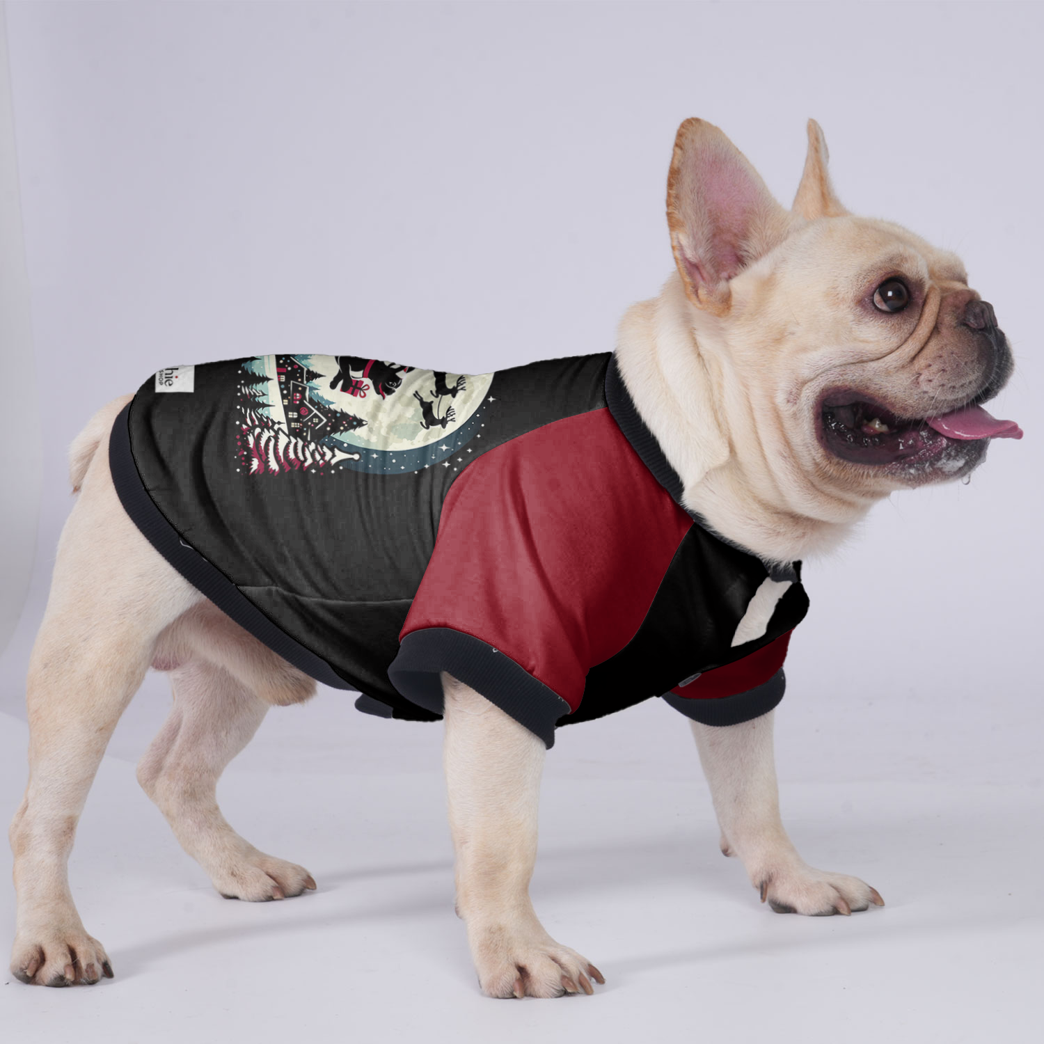 Lifestyle-Driven Molly - Jacket For French Bulldog for Pet Enthusiasts