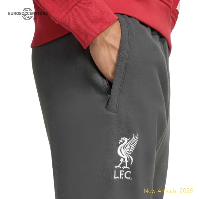 Liverpool 2024-25 Fan Version For Adults Grey) Soccer Jersey