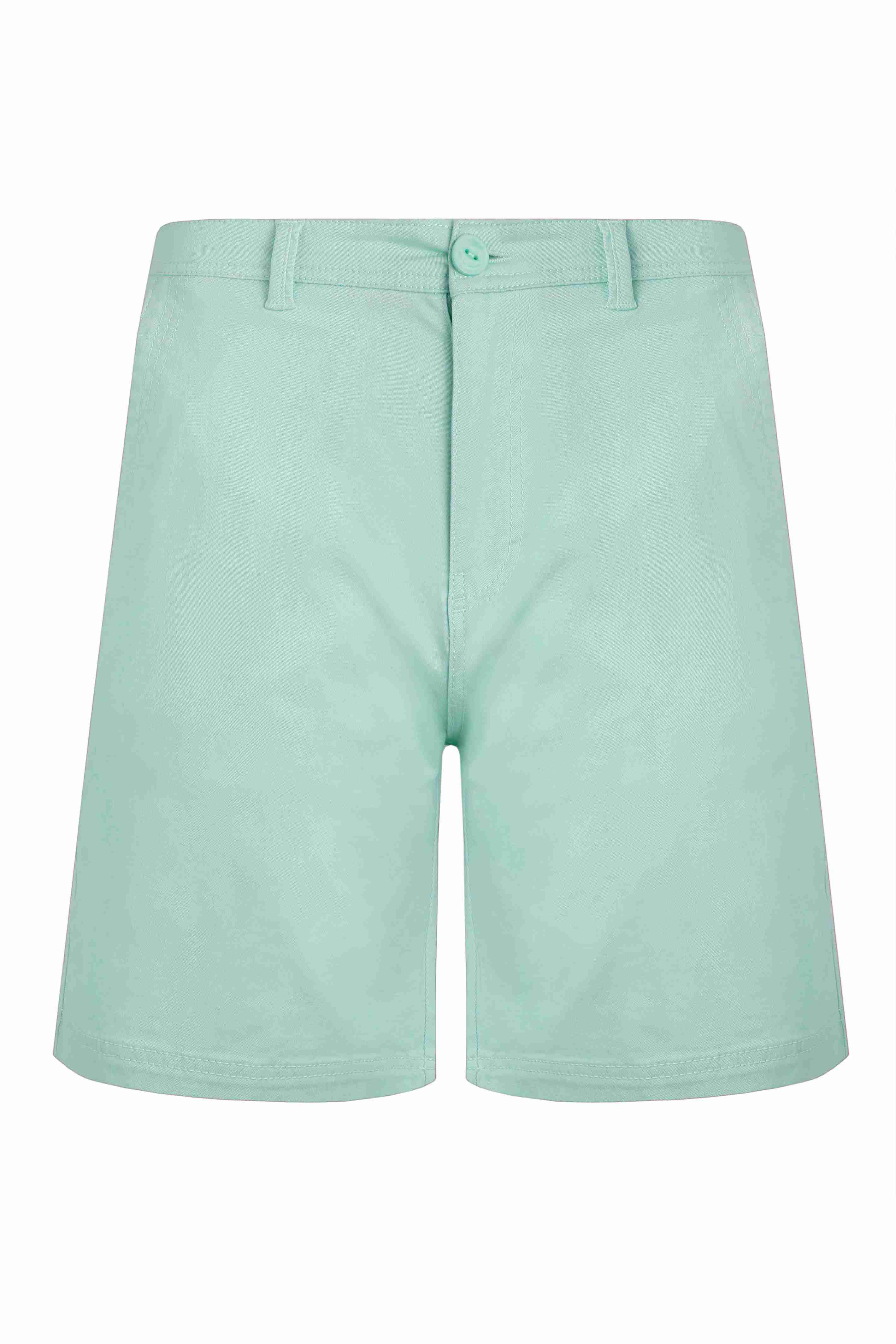 Rayburn Cotton Flat Front Shorts Seafoam
