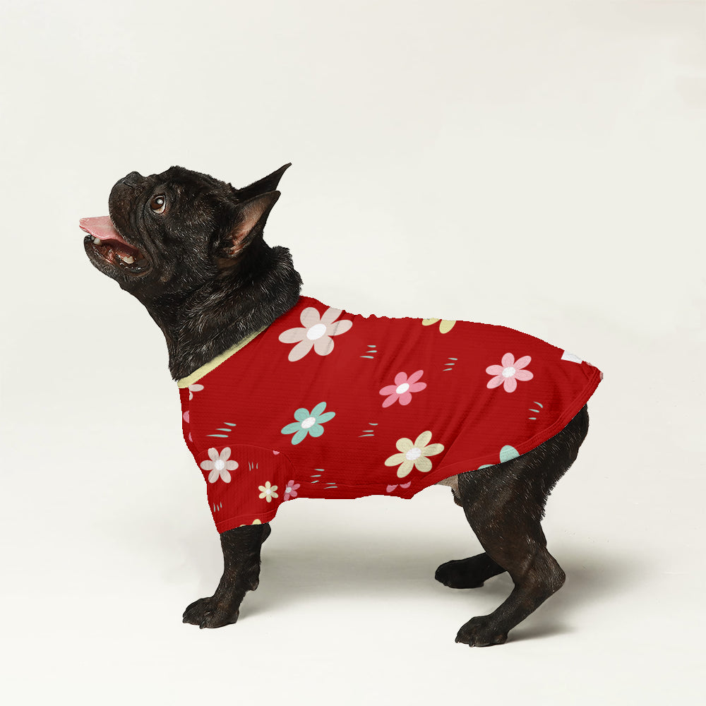 Como - Wool Sweater for Frenchies