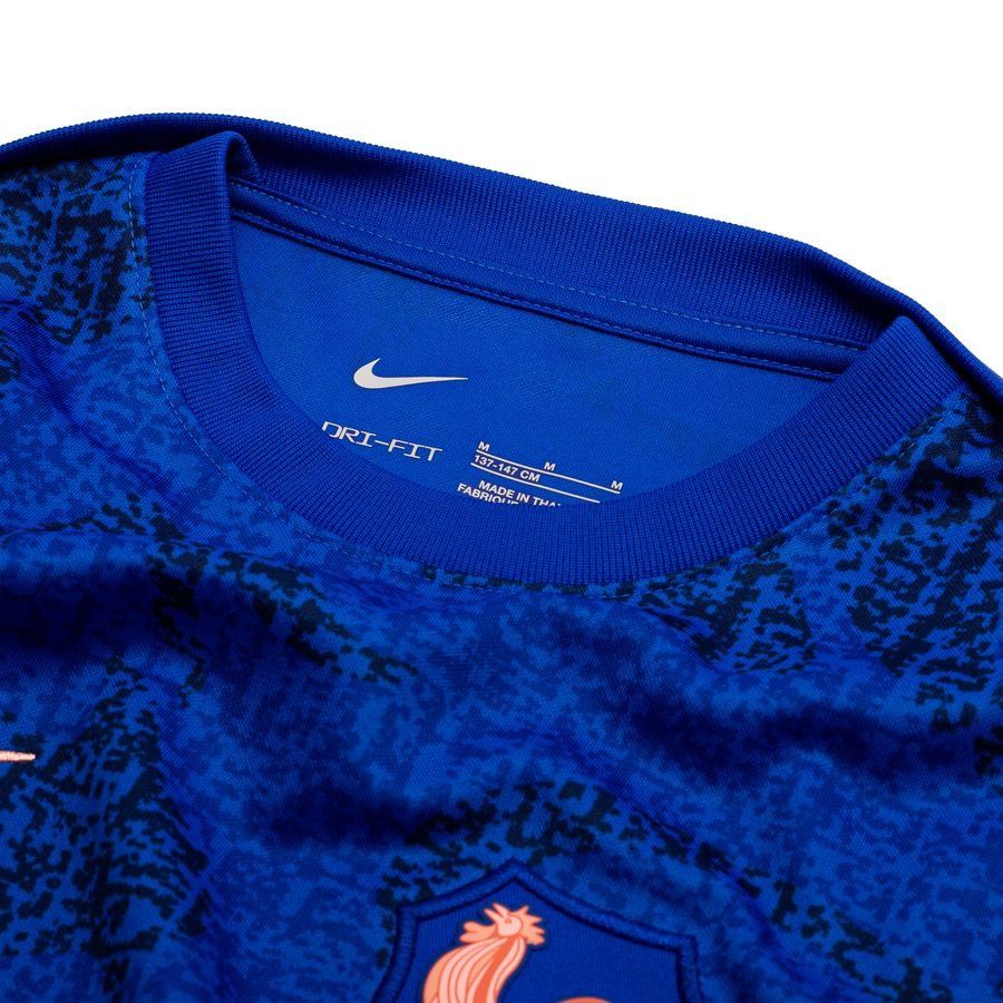 France Training T-Shirt Dri-FIT Academy Pro Pre Match Women's EURO 2025 - Lyon Blue/Bright Blue/Light Madder Root Kids