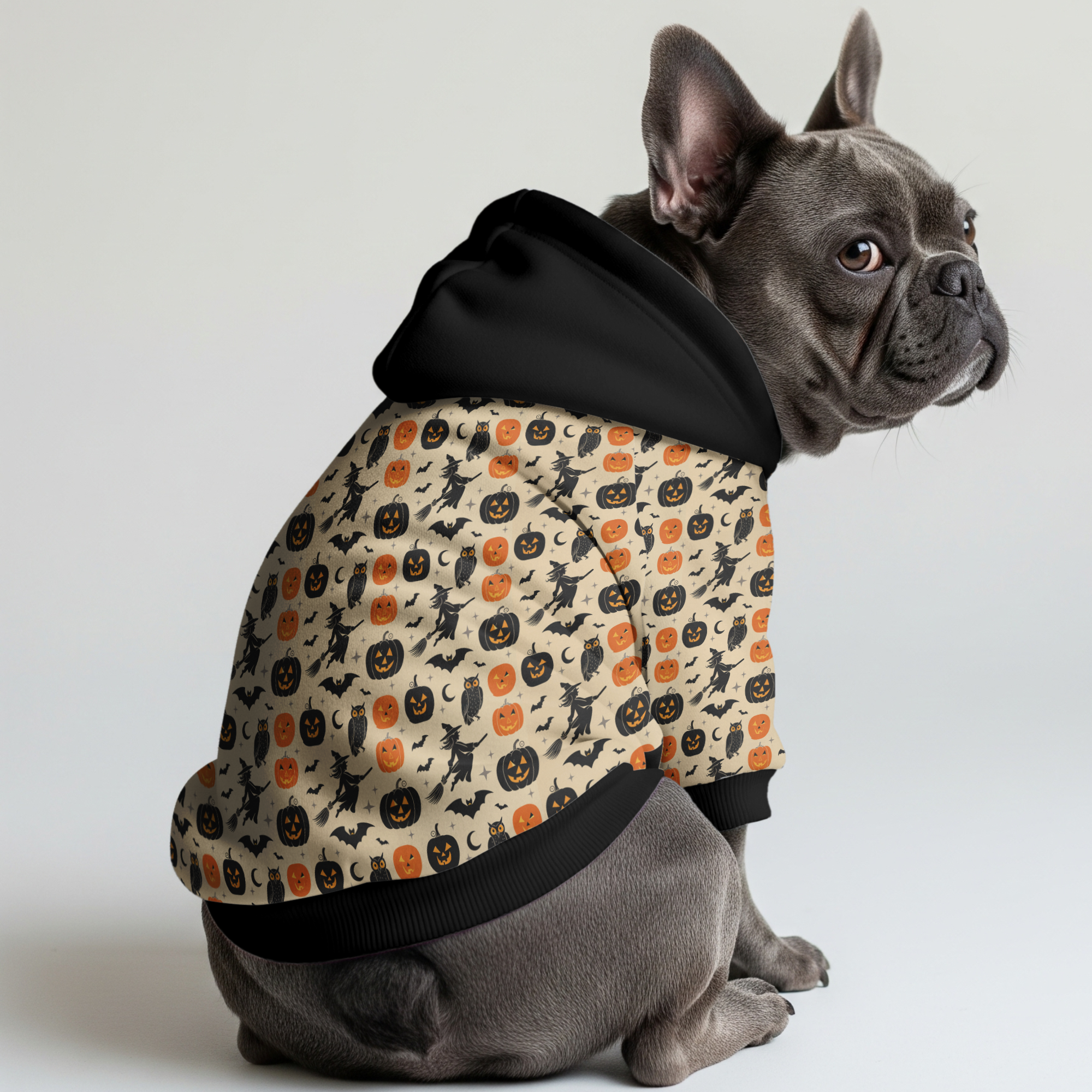 Stylish Culture-Inspired Nala - Frenchie Hoodie for Casual Outings