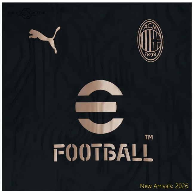 Performance 2024-2025 Ac Milan Training Shirt (Black) - Kids (Ibrahimovic