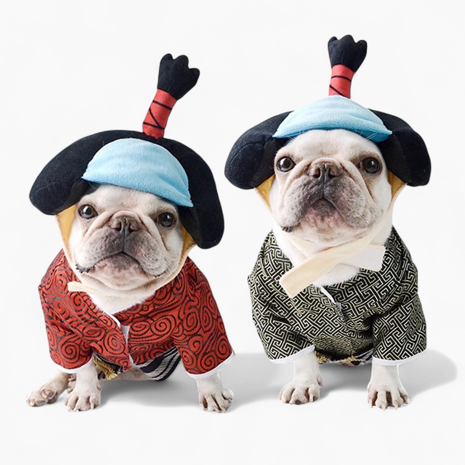 BushiBull Frenchie Kimono Costume – Traditional Samurai Dog Outfit