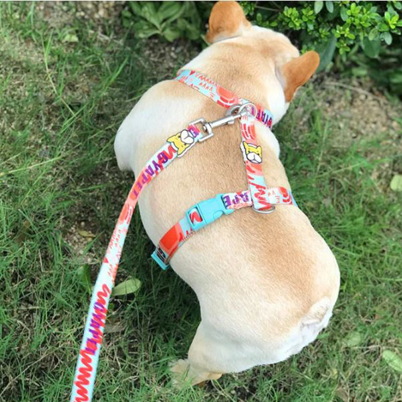 No Pull Fashion Harness And Leash Set (ws0423) Winter Wear | Comfort Fit