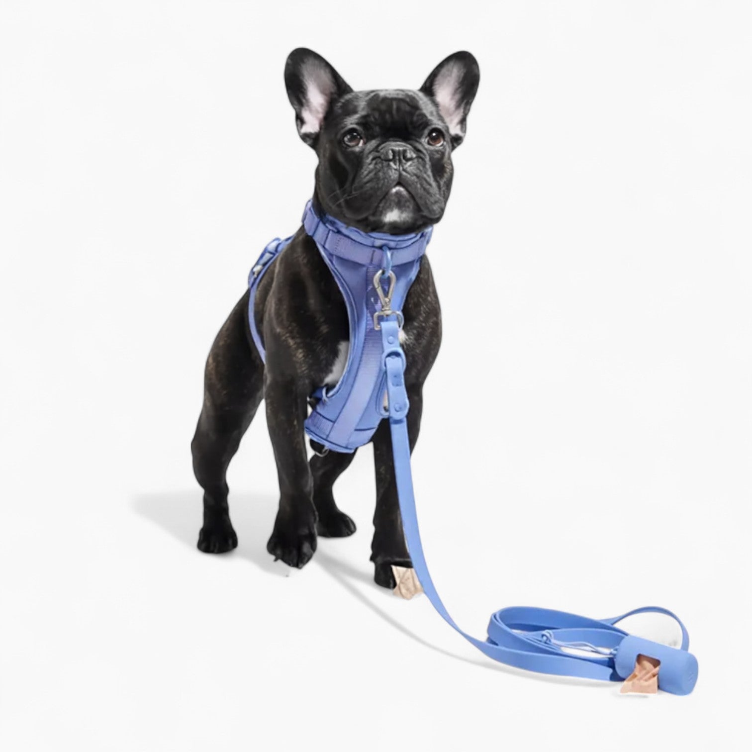 Quick Release Harness Leash Set Paw Protection | Vet-recommended