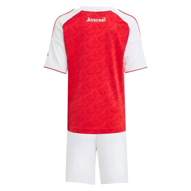 Arsenal Team Sophisticated Home Team Kit