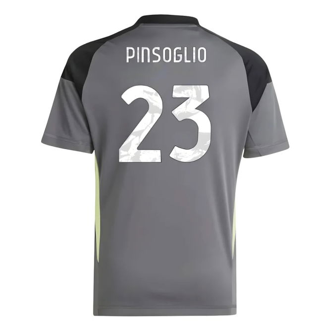 Juve Juventus Home Goalkeeper Shirt Grey Kids Pinsoglio #23 High P...