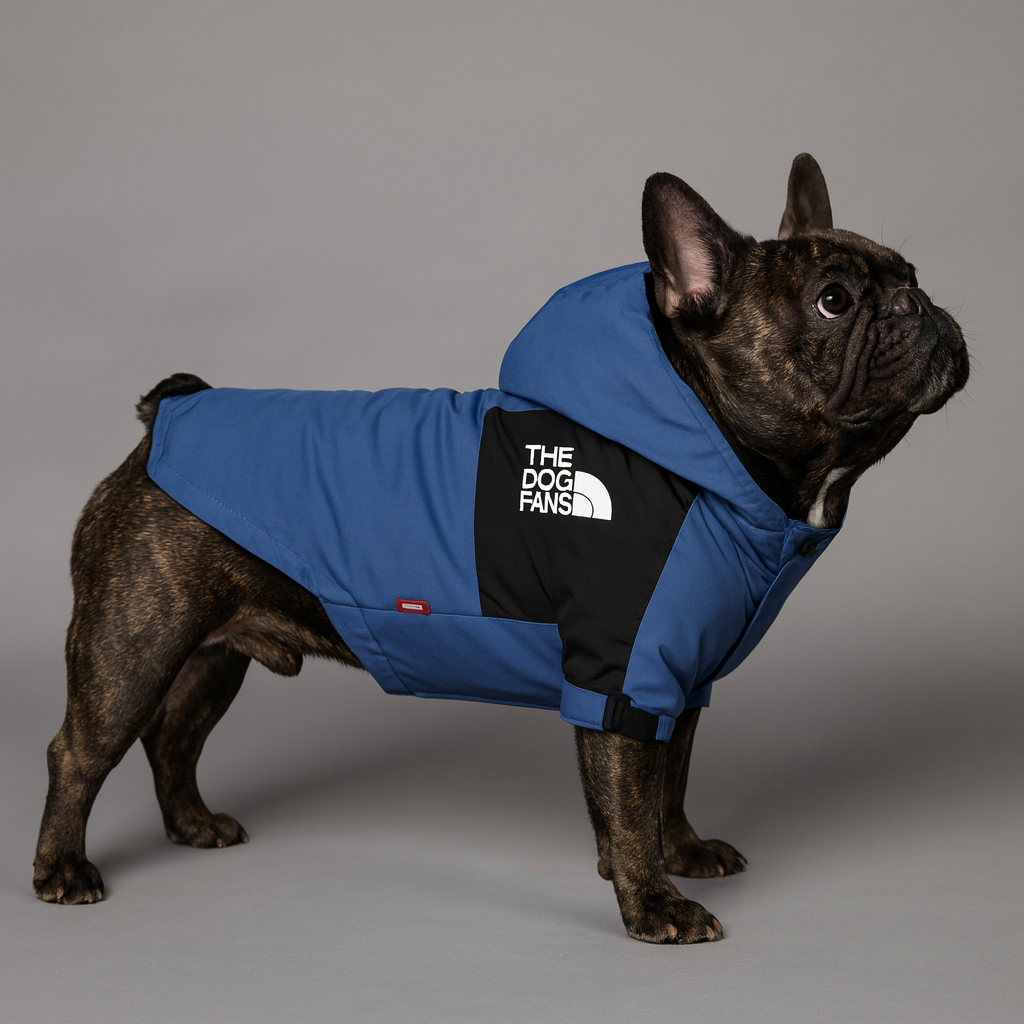 Frenchie Denim Blue Raincoat – Windproof Waterproof Dog Jacket Pet Gear