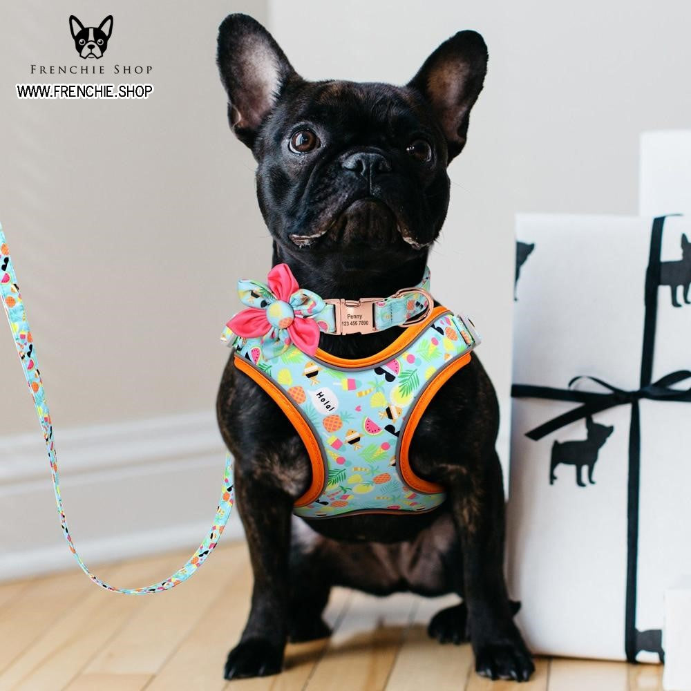 Pressure-Balanced Fruit Harness For French Bulldog (w321) for Outdoor