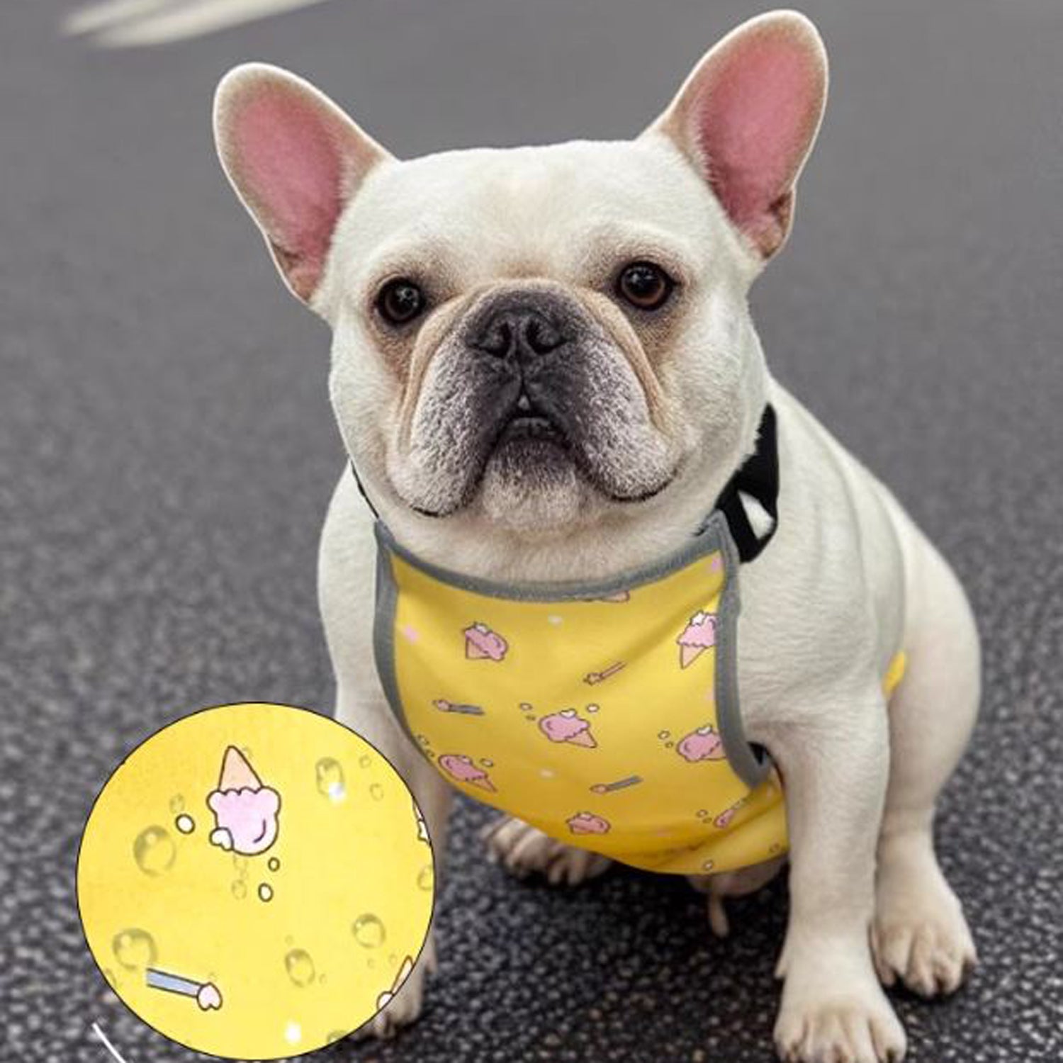 French Bulldog Coolie Frenchie Cooling Vest – Summer Belly Protection