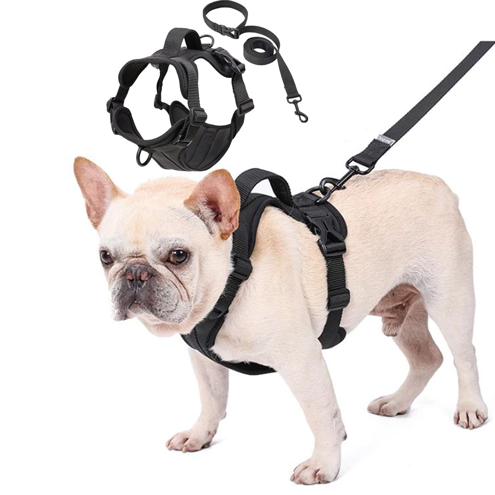 Durable Walkease No Pull Frenchie Comfort Leash Vest Walking Harness ...