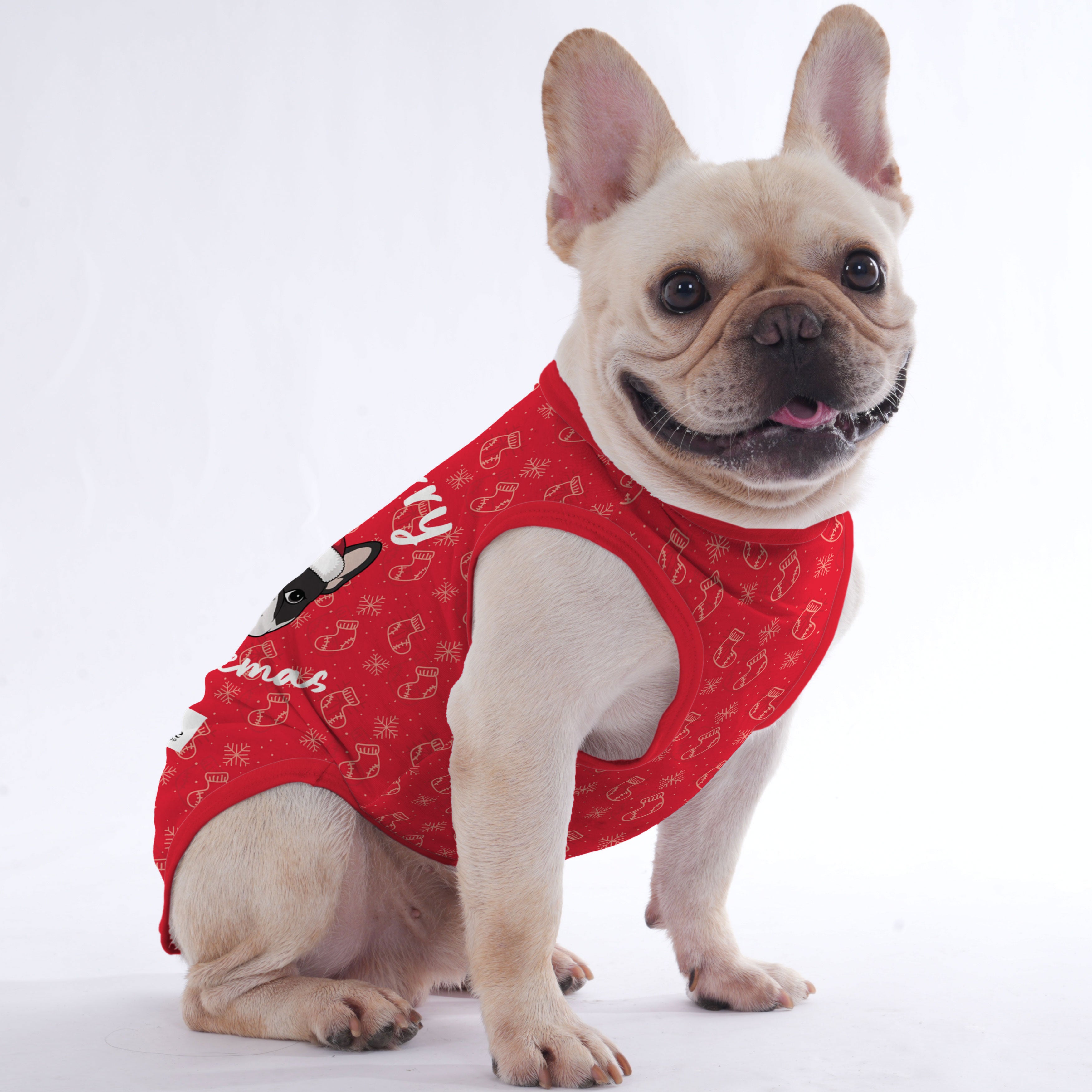Velvet - Shirt for Frenchies - Frenchie Shop Original