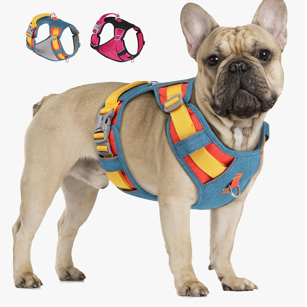 Durable Pupbright No Pull Frenchie Reflective Harness for Stocky Dogs