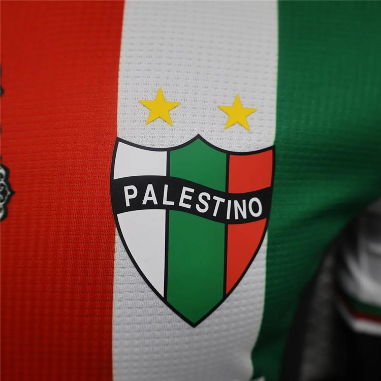 Match Quality 2425 CLUB DEPORTIVO PALESTINO HOME SOCCER JERSEY SHIRT
