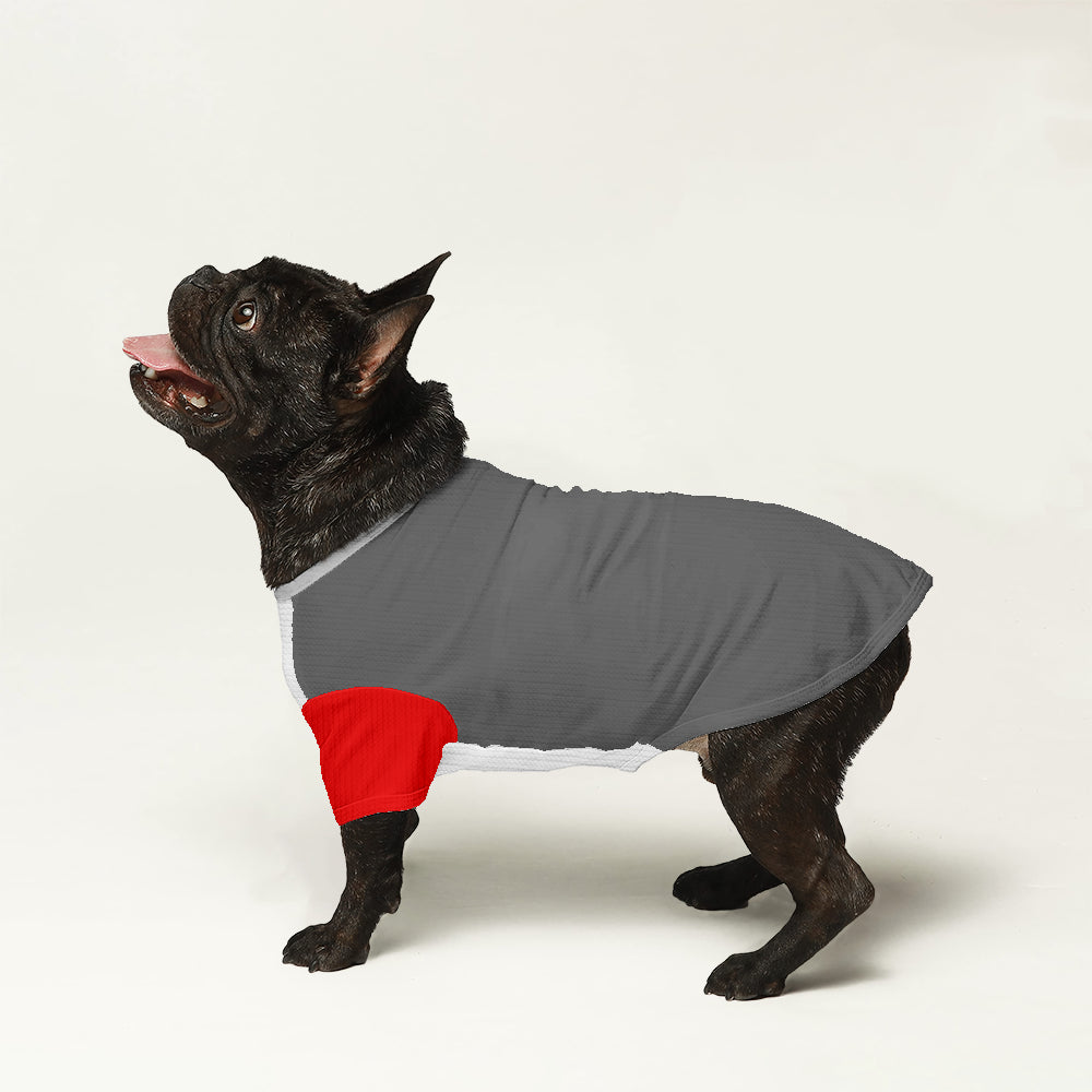 Trendy Louie - Wool Sweater For Frenchies for Fashion Lovers
