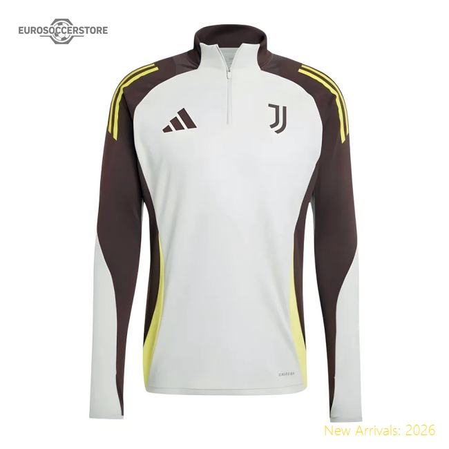 Performance 2024-2025 Juventus Eu Training Top (Silver)