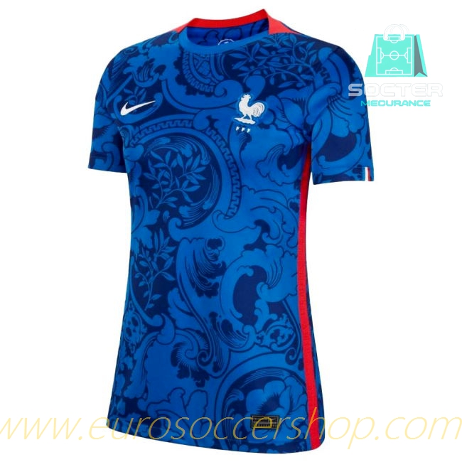 France Home Kit (RENARD 3)
