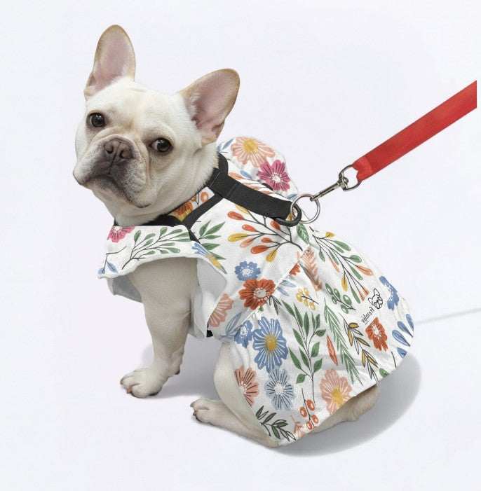 Bulldog French Bulldog Dresses For Females Winter Wear | Durable Build