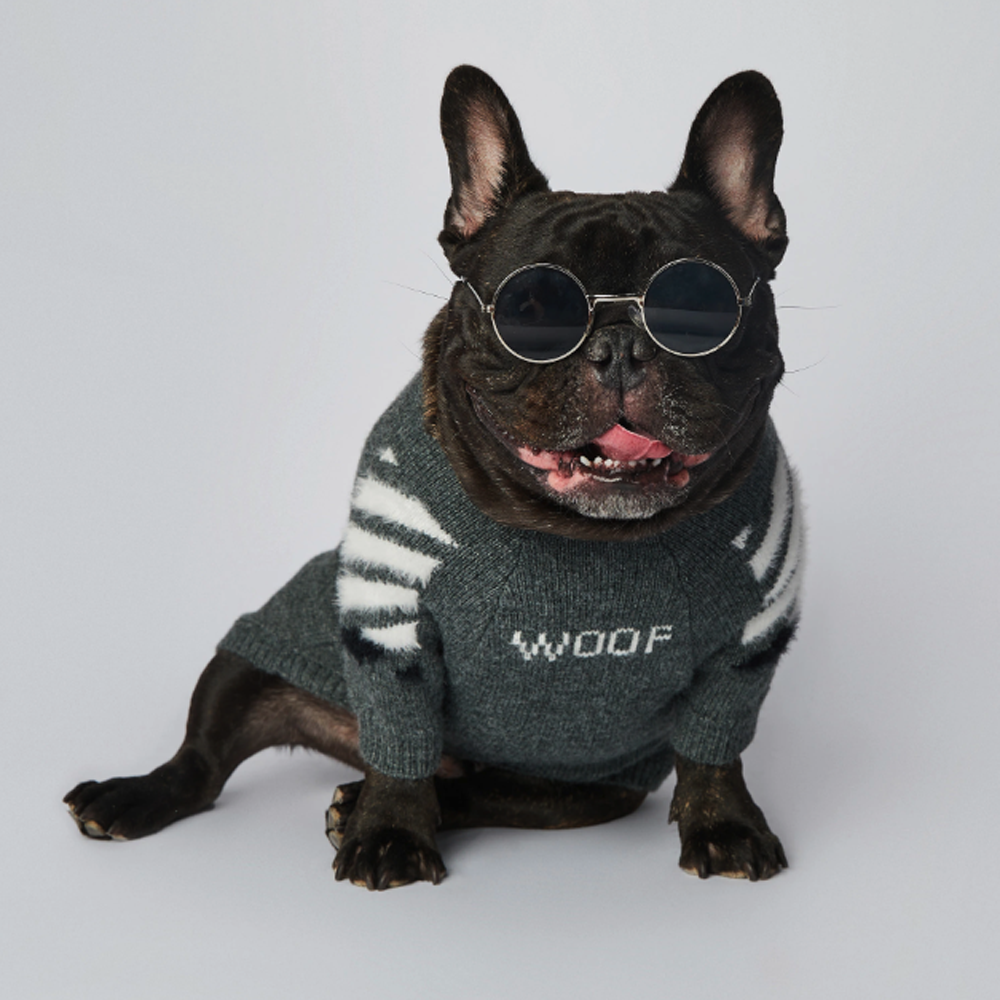 - Trendy Frenchie Woof Winter Sweater V1 Indoor Comfort | Comfy Fit