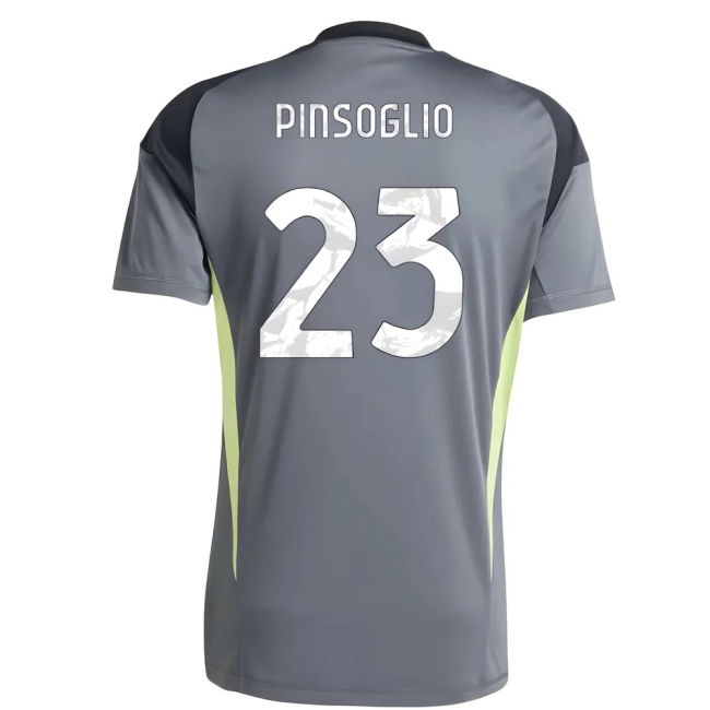 Replica Juve Juventus Home Goalkeeper Shirt Grey Pinsoglio #23 Aut...