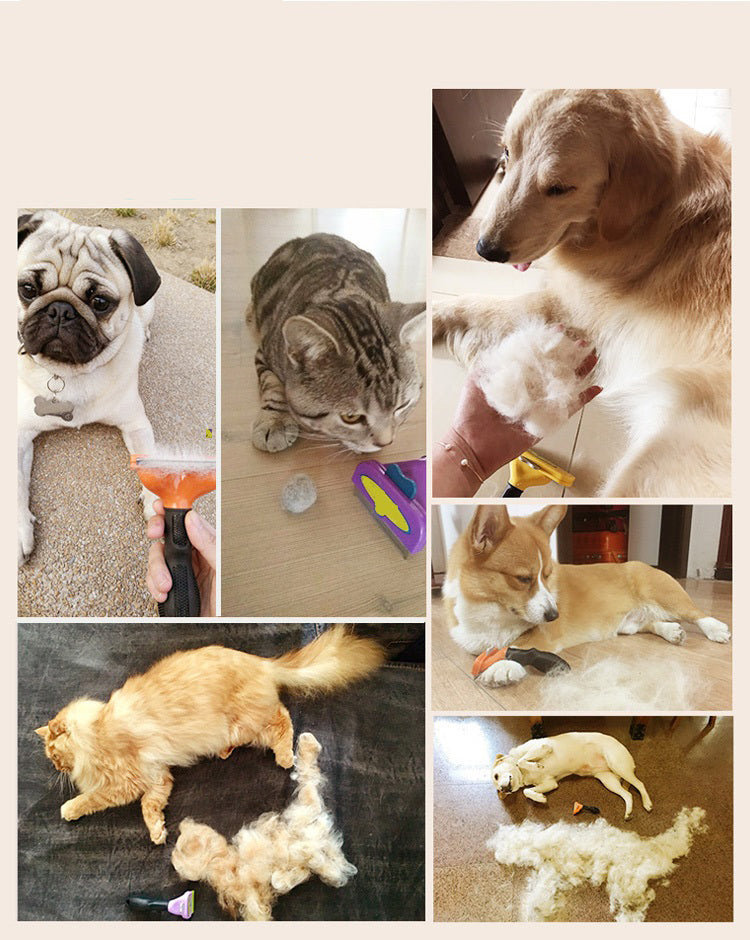 Tm - Vet-recommended Frenchie Comb (cs01) Dog Supplies | Breed-optimized