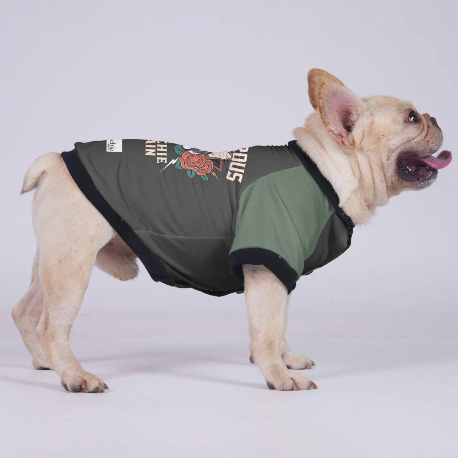 Fashion-Forward Premium Melo - Jacket For French Bulldog for Daily Life
