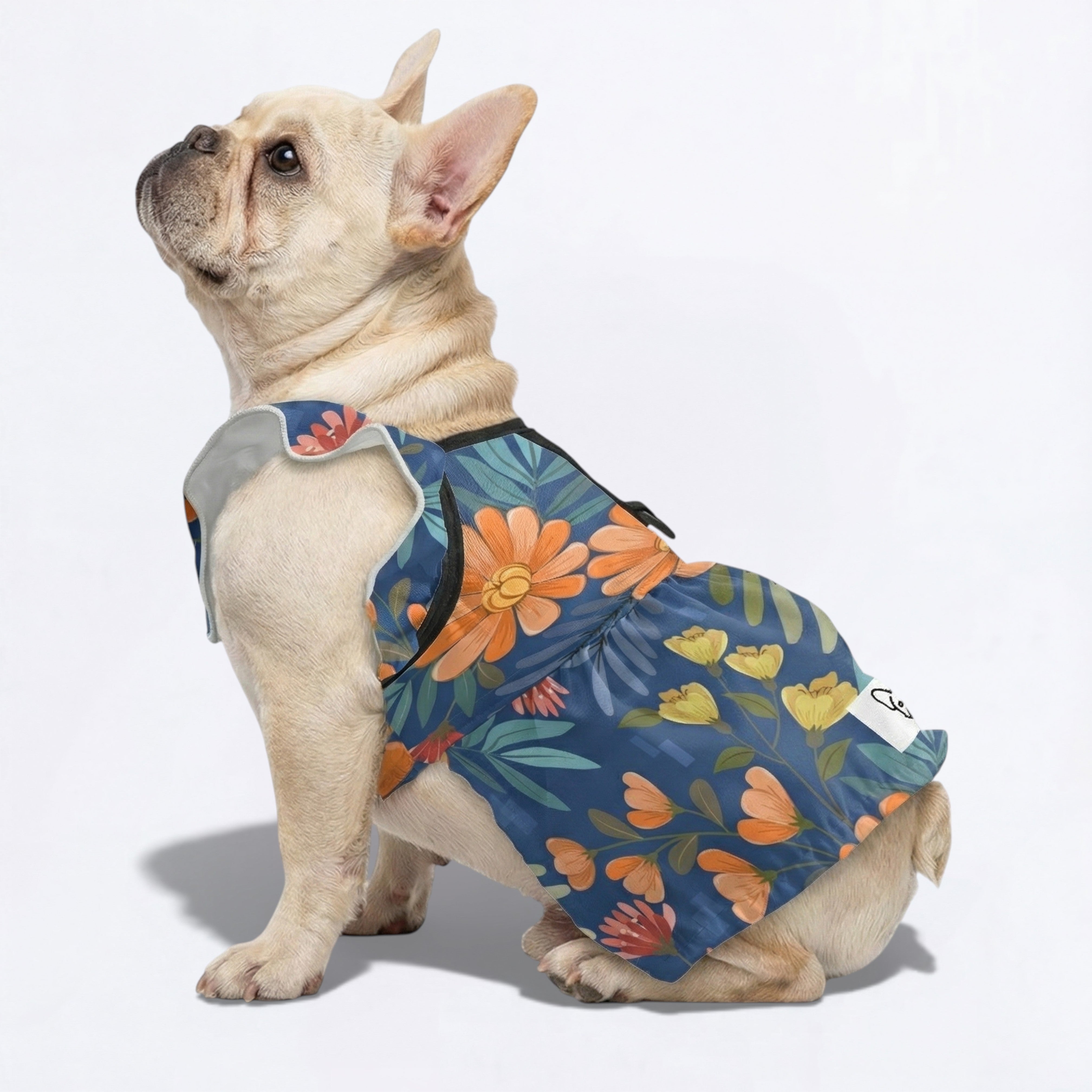 Everyday Bailey - French Bulldog Dresses For Females for Pet Enthusiasts
