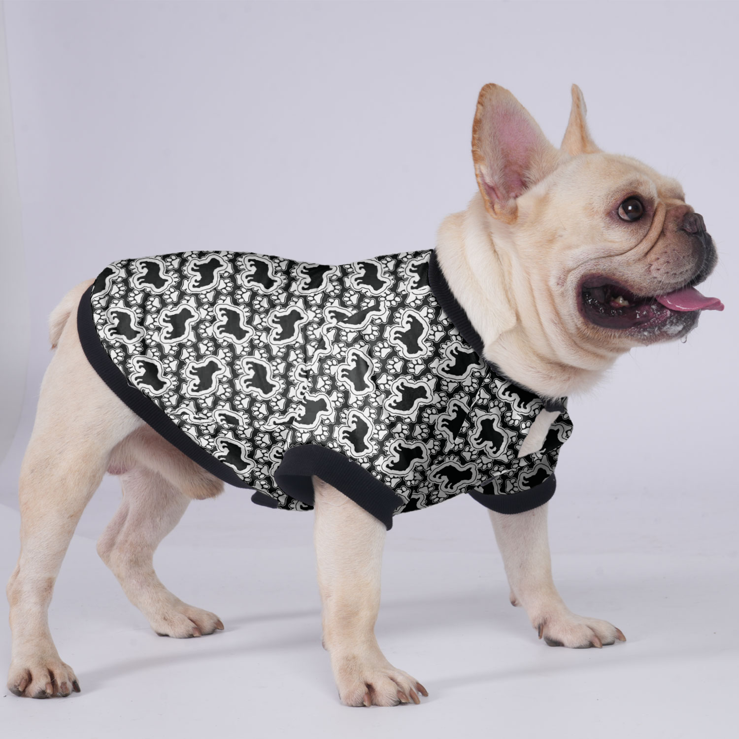 Ace - Warm Jacket For French Bulldog For Frenchie Pups | Breed-optimized
