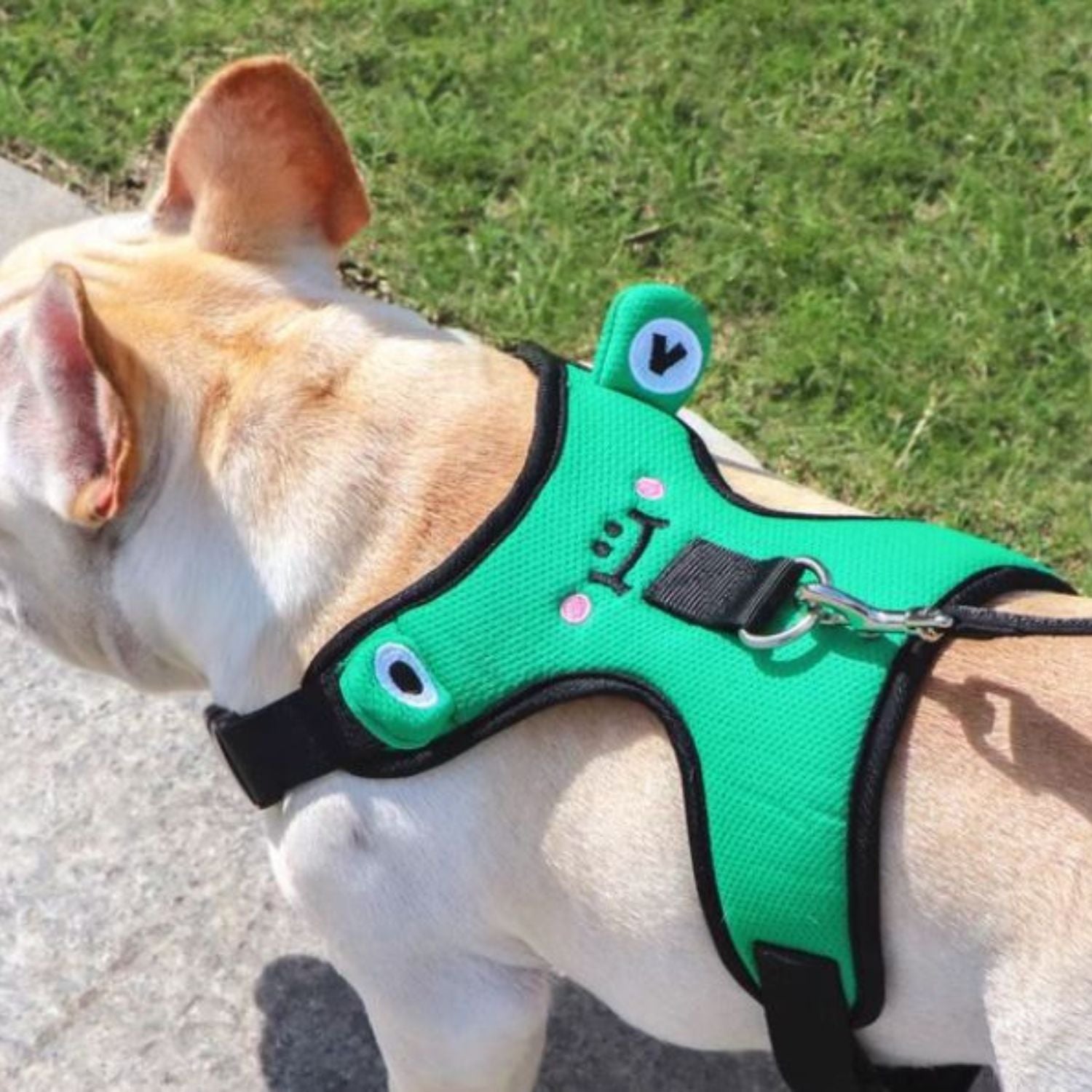 Leash – Escape-proof Durable And Stylish Fit Dog Supplies | Comfort Fit