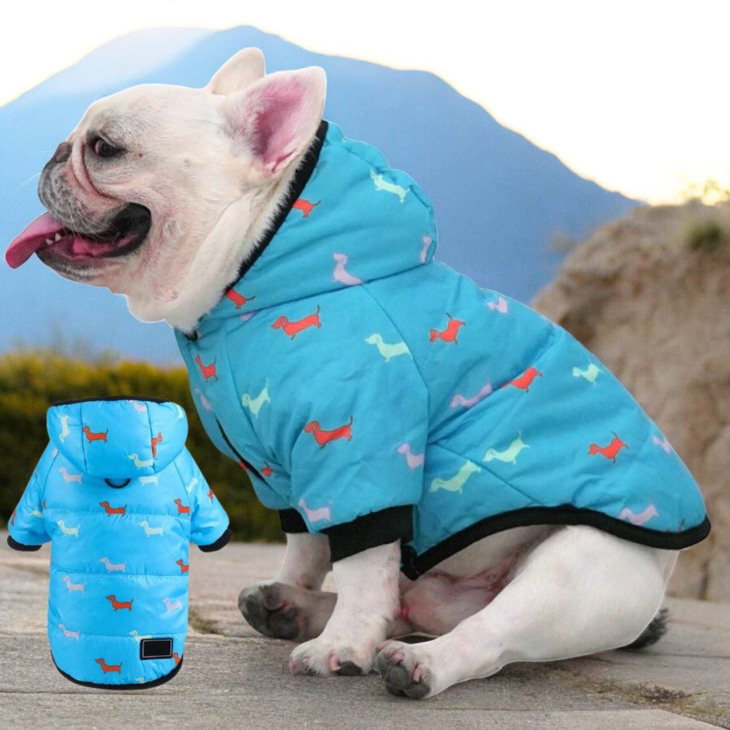 Everyday Premium Luxurious Hooded Frenchie Coat as a Gift