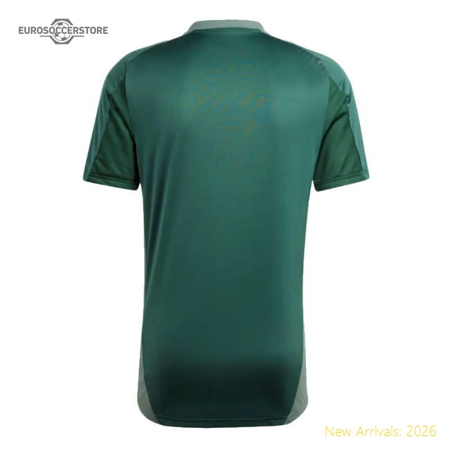 High-quality 2024-2025 North African Giants Training Jersey (green)