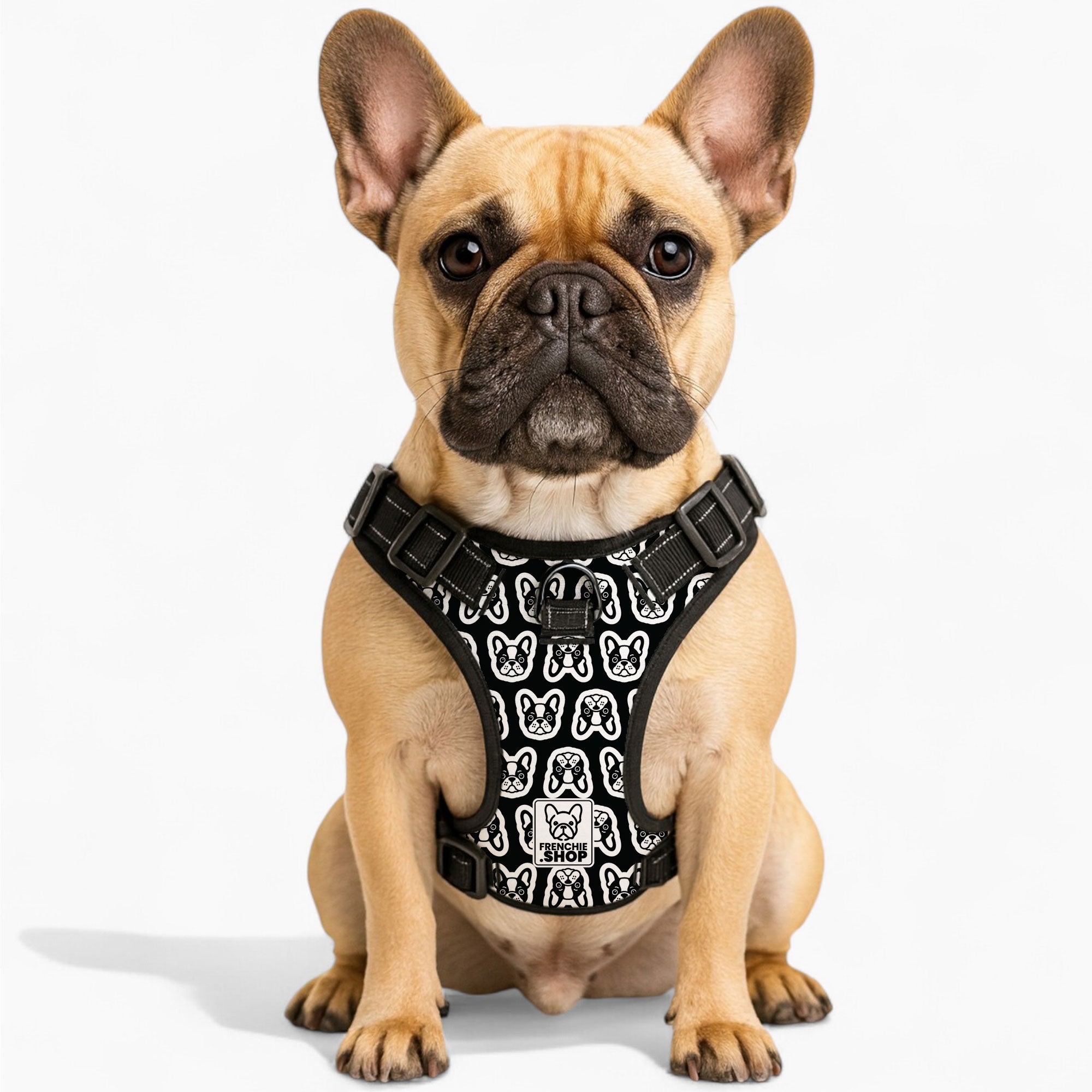 Weather-Resistant Cora - No-pull French Bulldog Dog Harness for French