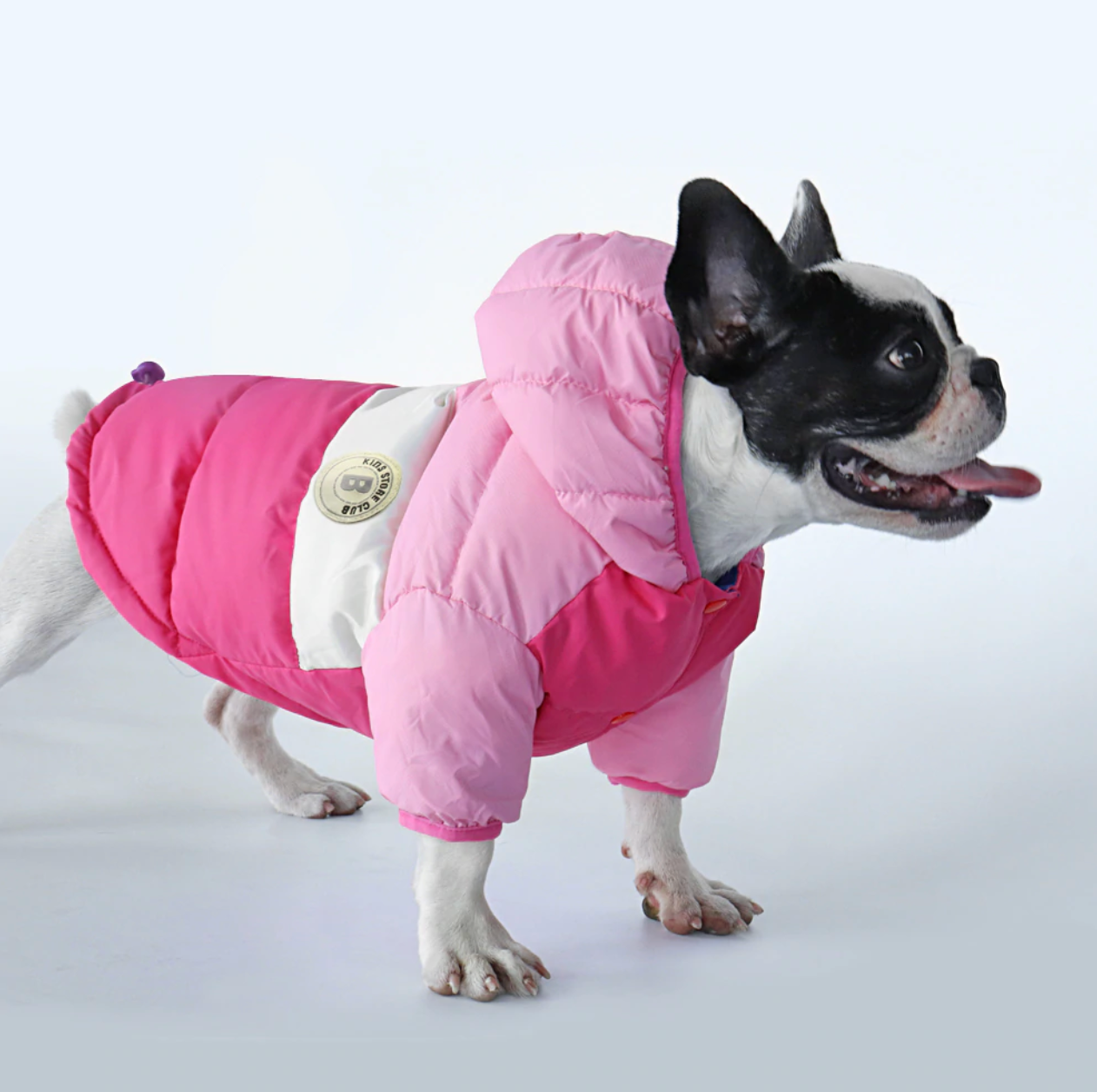 Waterproof Coat For French Bulldog (cs032) Summer Wear | Durable Build